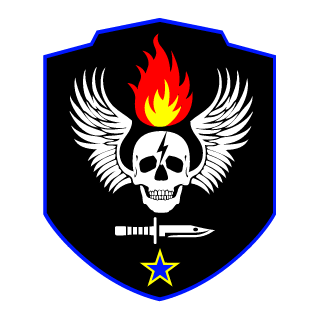 IronFury's emblem