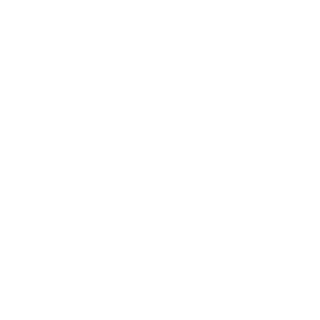 DataPy's emblem