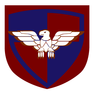 TDF Mavericks's emblem