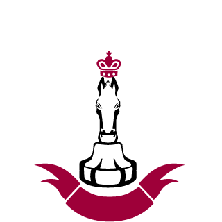 SrCampanini's emblem