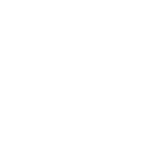 Inestein's emblem