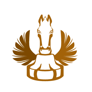 AusuboPR's emblem
