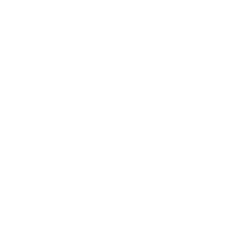hyzidane602's emblem