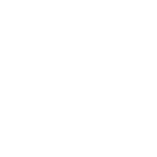North_DT's emblem