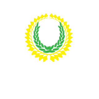 MyInfiniteFuture's emblem