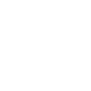 n0mI's emblem