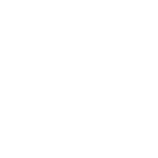 z_x1ong's emblem