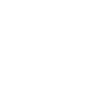 numberbr's emblem