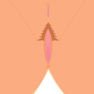YeetBagg's emblem