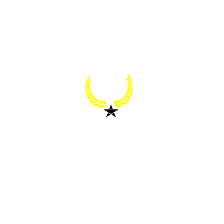 bekoev_27's emblem