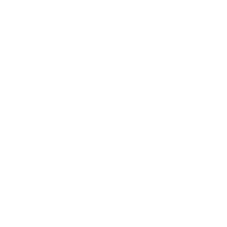 Semper2k's emblem