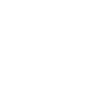 999eason's emblem