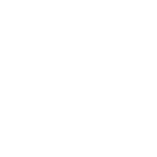 blackhawk99-GER's emblem