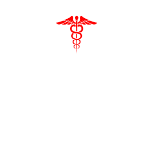 FakeCakeGhost's emblem
