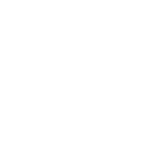 parkCZ's emblem