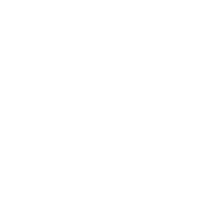 PLEIGHBOI69's emblem