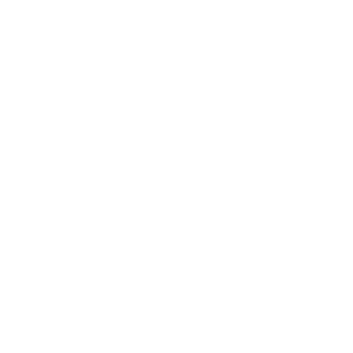 Raven8866's emblem