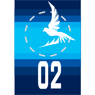 ninetail_fox86's emblem