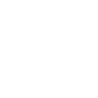 B0TER_01's emblem
