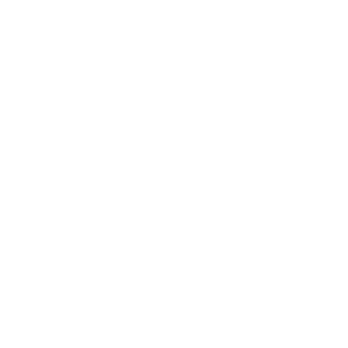 DIR2018's emblem
