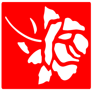 BORICKA34's emblem