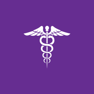PixelBeaver's emblem
