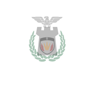 Karakal78's emblem