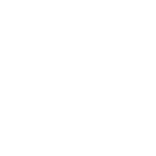 D1sc0n3ct's emblem