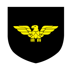 ElDoctor1's emblem