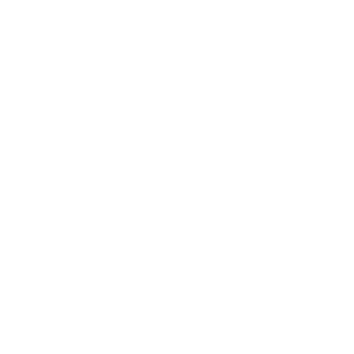 B-Wings's emblem