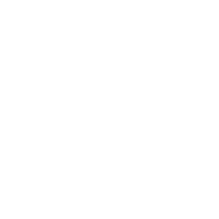 NicoAlpha2's emblem