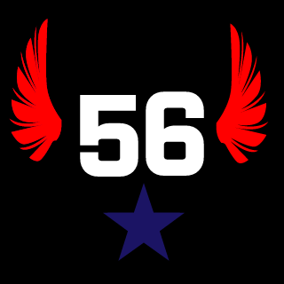 RoboDuck56's emblem