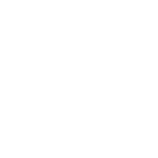 bf4p04's emblem