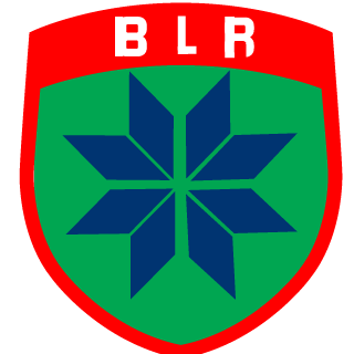 MinskRockBoy's emblem
