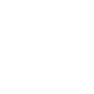 NINEHUNDREDNINE's emblem