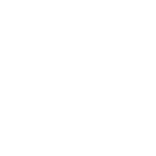 JoeWiIIy's emblem