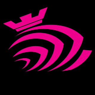 xCONzENTRATE's emblem