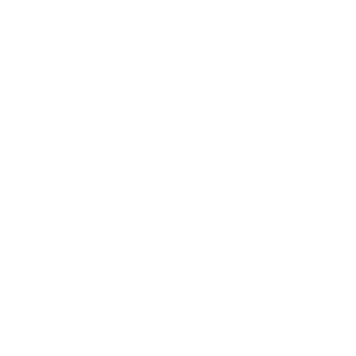 bolo80808's emblem