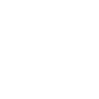 boorliy's emblem