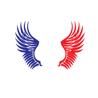 VicTheCatt's emblem