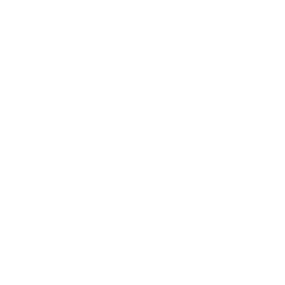 Springstormz's emblem