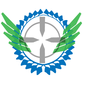 raphael_solution's emblem