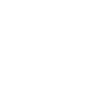 BATTLE FELD PRO's emblem
