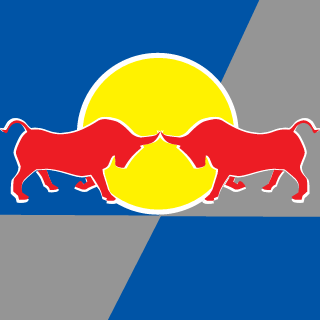BudokaPro's emblem
