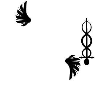 112AciLtr's emblem