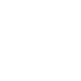 Ivanych173's emblem