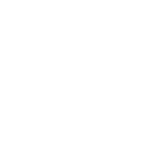 TheLeonK's emblem