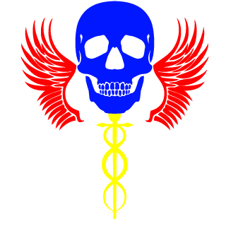 83M4V3R1CK83's emblem