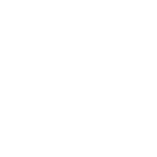 ORION_MC's emblem