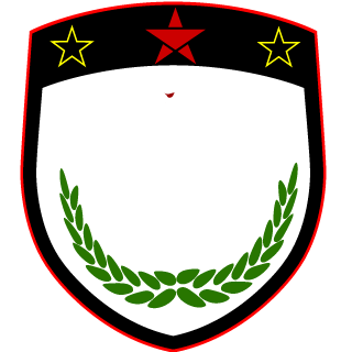 viggo360's emblem